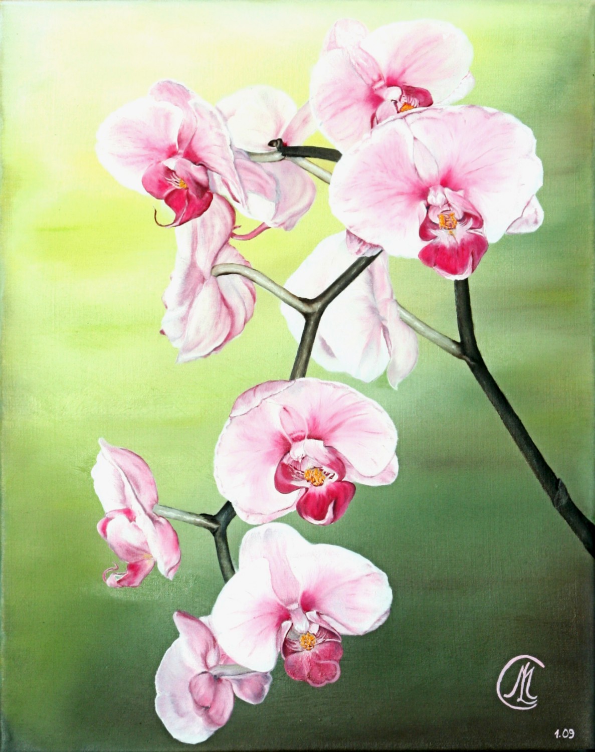 orchidee Huile sur toile : 30x40 cm 