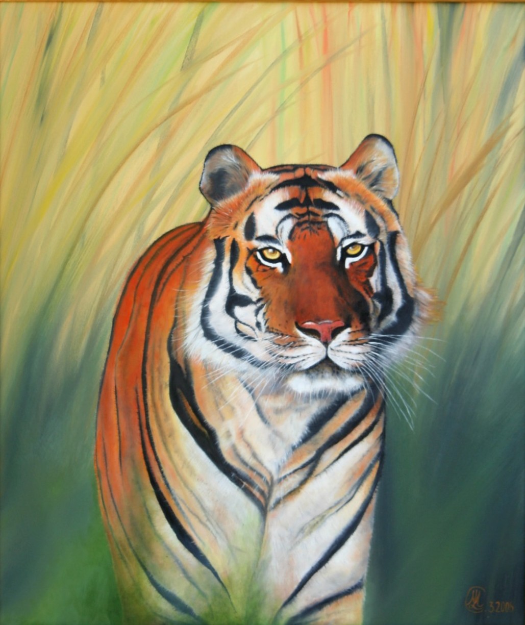 tigre Huile sur toile : 46 x 55 cm